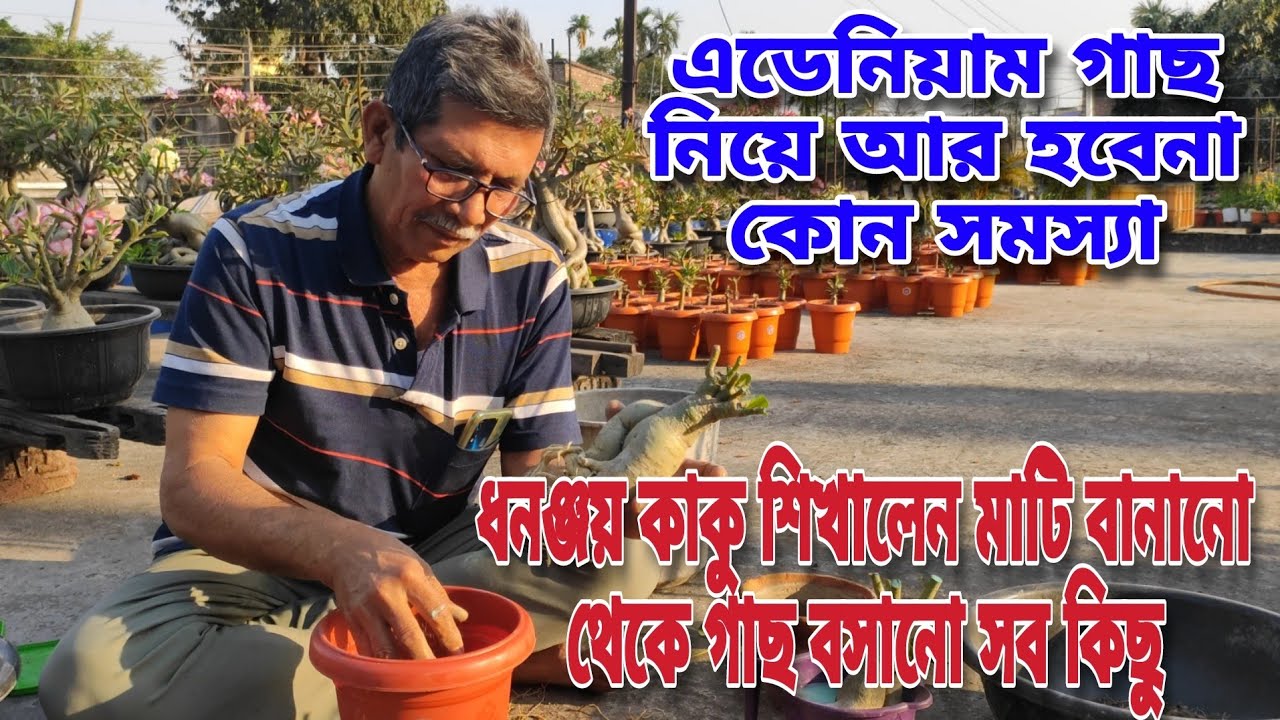 ধনঞ্জয় কাকুর অ্যাডেনিয়ামের কারখানা থেকে শিখে নিন হাতেকলমে সবকিছু || সবার বাগানে হবে অ্যাডেনিয়াম ||