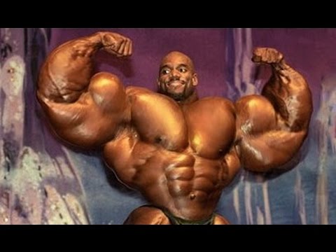 SEARCH AND BUY THIS PRODUCT Flex Wheeler - 52 Years Old Training Chest _ THE RETURN To