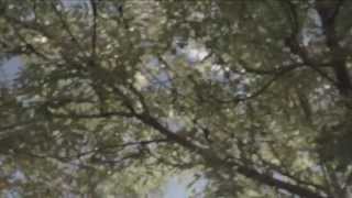 NOKO WOI - Source screenshot 5