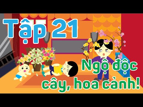 Cây hoa ngày tết
