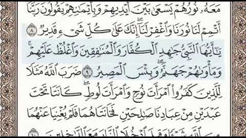 سورة التحريم الصفحة 561 الشيخ محمد صديق المنشاوي