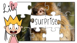 Animals Surprise Puzzle for Kids | Deer - Bird - Monkey | Princess Lili