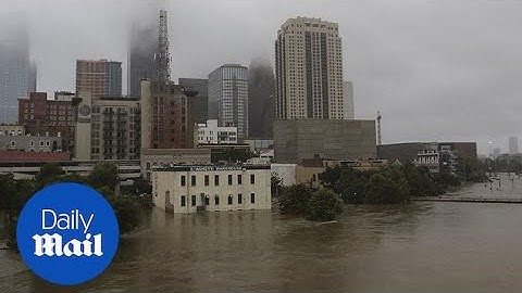 Man saved from Houston flood in dramatic van rescue - Daily Mail