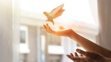 Healing from Narcissistic Abuse - Light Language Transmission