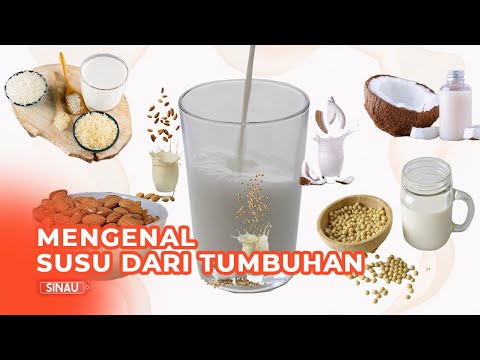 Video: Bantuan 