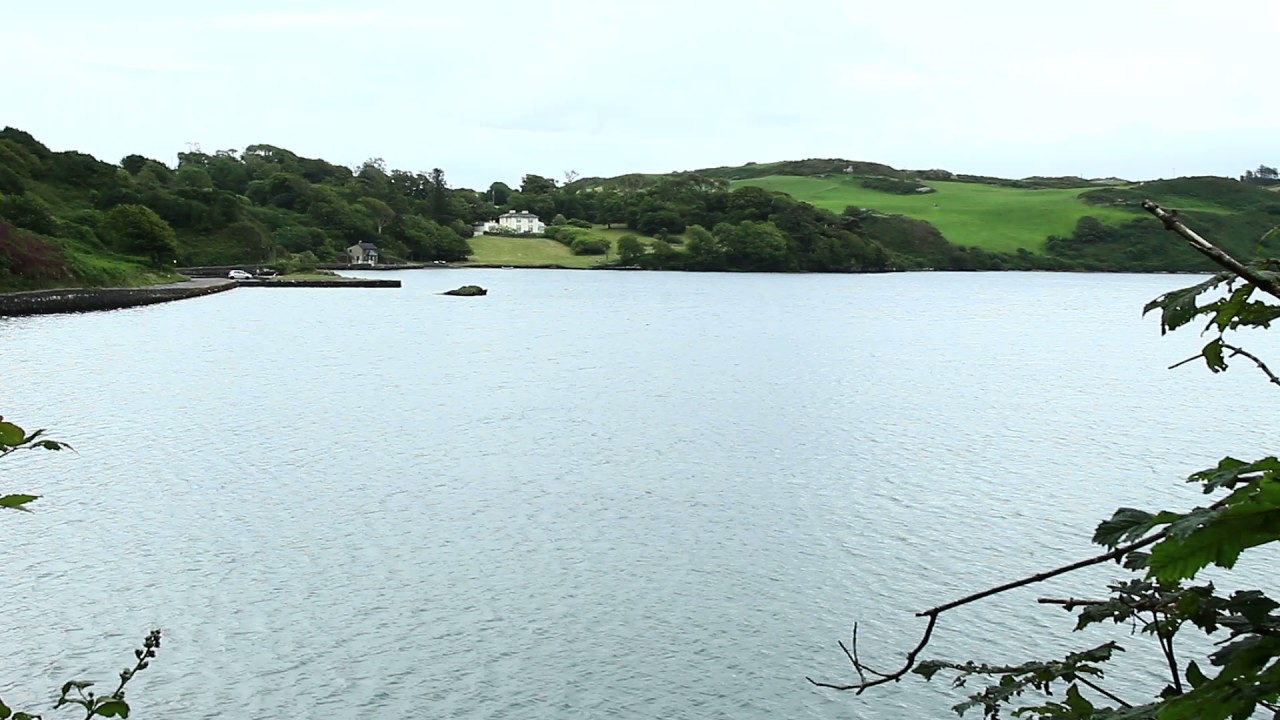 ireland map Open Water Swimmer in Lough Hyne Skibbereen - 10 July 2017