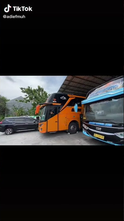 story wa bus di garasi dan terminal
