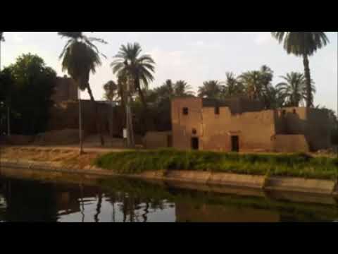 جوبات الاسطي حراجي القط 