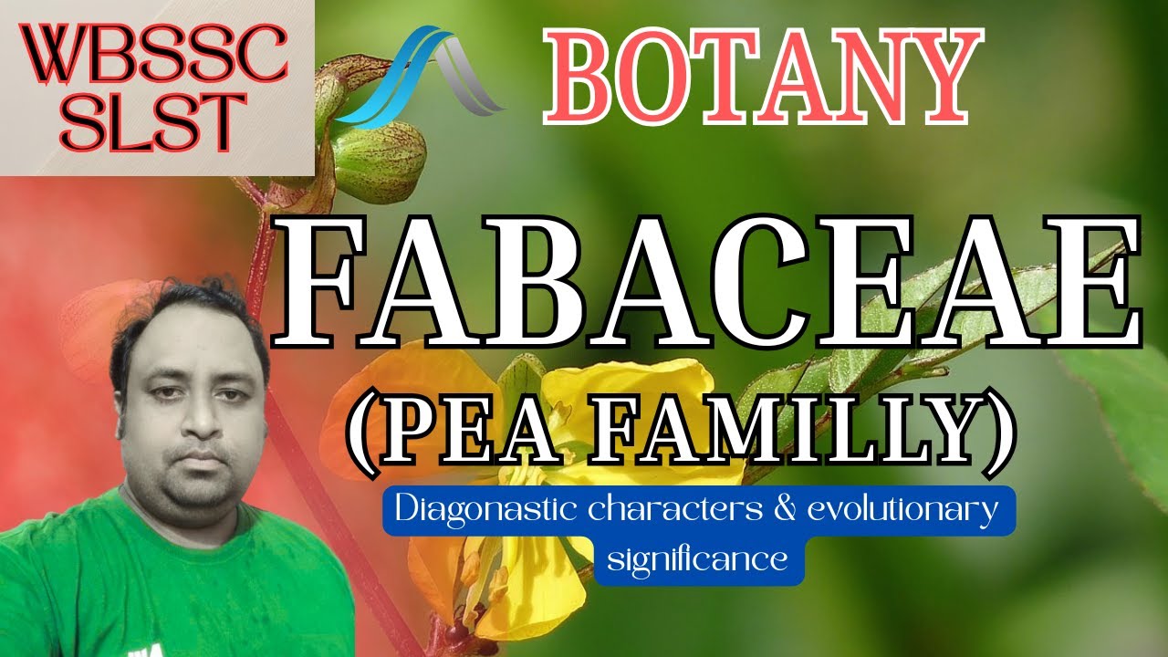 Fabaceae plant family -diagnostic characters and evolutionary significance 