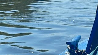 Hell’s gate Jet boat tour 7/29/23 Grants pass Oregon getting wet!