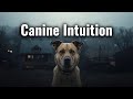 Hidden Danger: How Canine Intuition Saved These Families