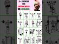 Top 16 Exercise For Lateral Deltoid ofShoulder #workout #shoulderworkout
