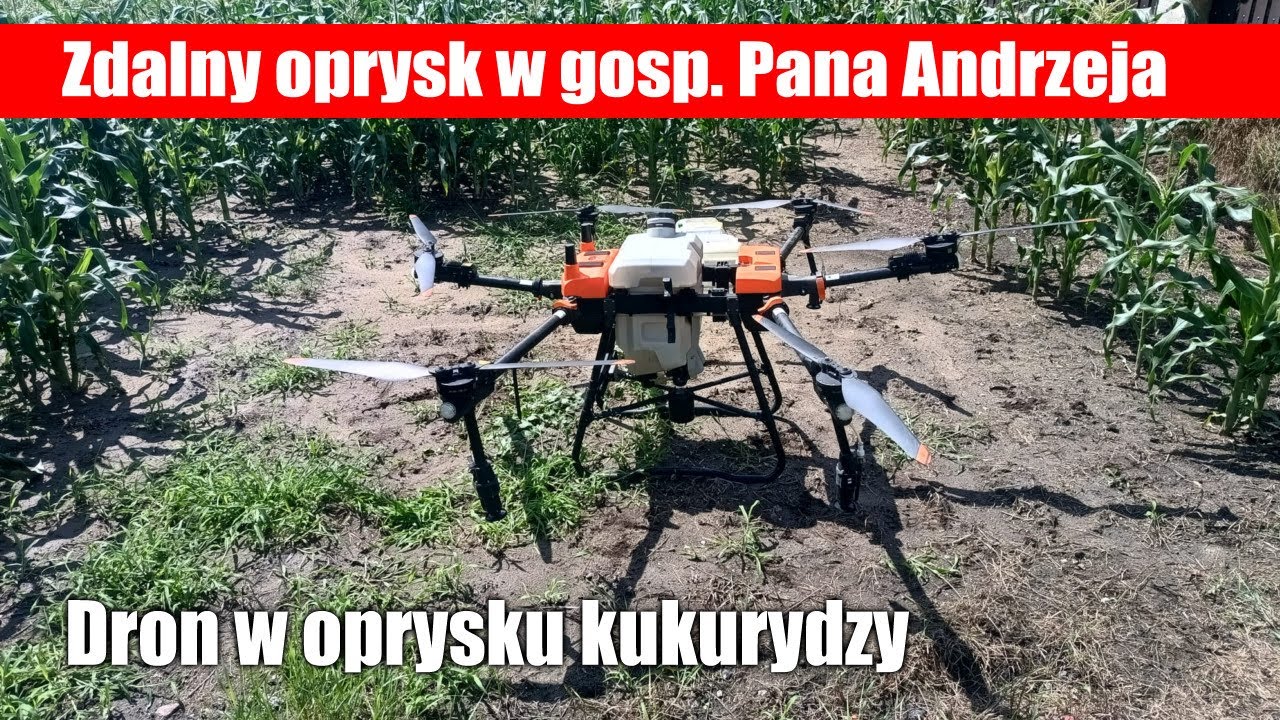 Dron w oprysku kukurydzy w gospodarstwie Pana Andrzeja na Kujawach maxresdefault Dron w oprysku kukurydzy w gospodarstwie Pana Andrzeja na Kujawach