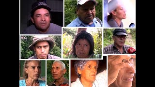 Collection of witness accounts and testimonies in the Kris and Lisanne disappearance case