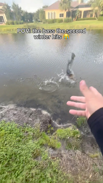 They usually choose to GO!😭💀🤷‍♂️