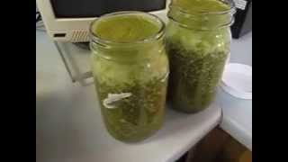 How to Clean Your Vitamix Really Well - I bet you dont to this (ICK alert!)
http://www.JuicingGardener.com - How to clean your vitamix really well - I bet you dont to this (ICK alert!)
I had a good sized spill while using my Vitamix recently and had to deep clean it.
In this video I show you how to deep clean your vitamix in areas I bet youve never been.
It important that you as a juicer and smoother maker, know how to clean your Vitamix really well so bacteria dont grow.
This is especially important if you are using all organic produce!
Watch and Subscribe!
Thank you SO much for watching! I love sharing my organic gardening and juicing world with YOU!
Please comment below and share your thoughts and wisdom with our viewers.
If you like this video, please give it a THUMBS UP.
Get my latest video updates by subscribing to my YouTube channel here at:
http://www.youtube.com/JuicingGardener
LIKE us and join in on Facebook at:
http://www.facebook.com/JuicingGardenerTV
Lots of love,
Sheryl
http://www.JuicingGardener.com
http://youtu.be/libHQhBsWs8 How to Clean Your Vitamix Really Well - I bet you dont to this (ICK alert!)
