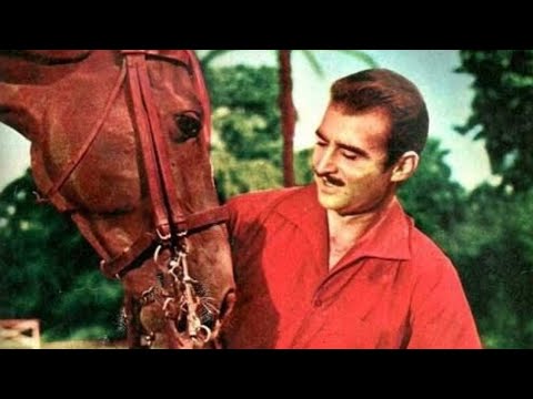 الفيلم العربي البرنس
