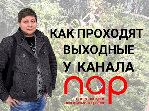 Как проходят выходные у канала ПАР- #ОДИН_ДЕНЬ_ЧЕЛЛЕНДЖ