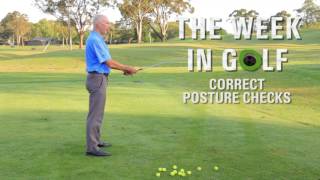 Genesis Golf Link Cup Tip #3 - Correct posture with Peter Knight
