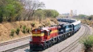 Sau Le Bong Ca Si Le Hang