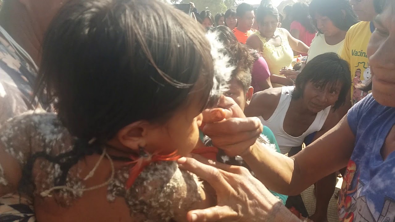 briga doçe com mel em aldeia fontoura