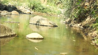 Sejuk Nya Sungai Di Dsn. Sawur Ds. Bulusari-Tarokan Kab. Kediri