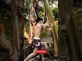 Muay Thai Shin Conditioning with Banana Tree 😮 #shorts