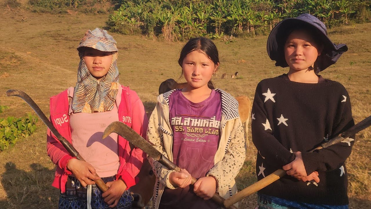 16/1/2026 Hnub No Kuv Cov Me Ntxhais Peb Mus Luaj Nroj Zaub Nyuj Nram Teb Qub Zog Naj Cuab 