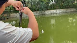 YY021.Fishing Learning Diary 9