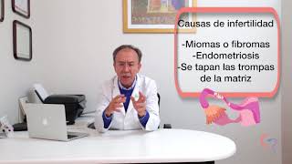 Carlos Guillermo Maquita Nakano-7