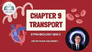 How to Score STPM Biology Sem 2 Chapter 9: Transport| Free Masterclass &amp; Visual Study Notes Guide