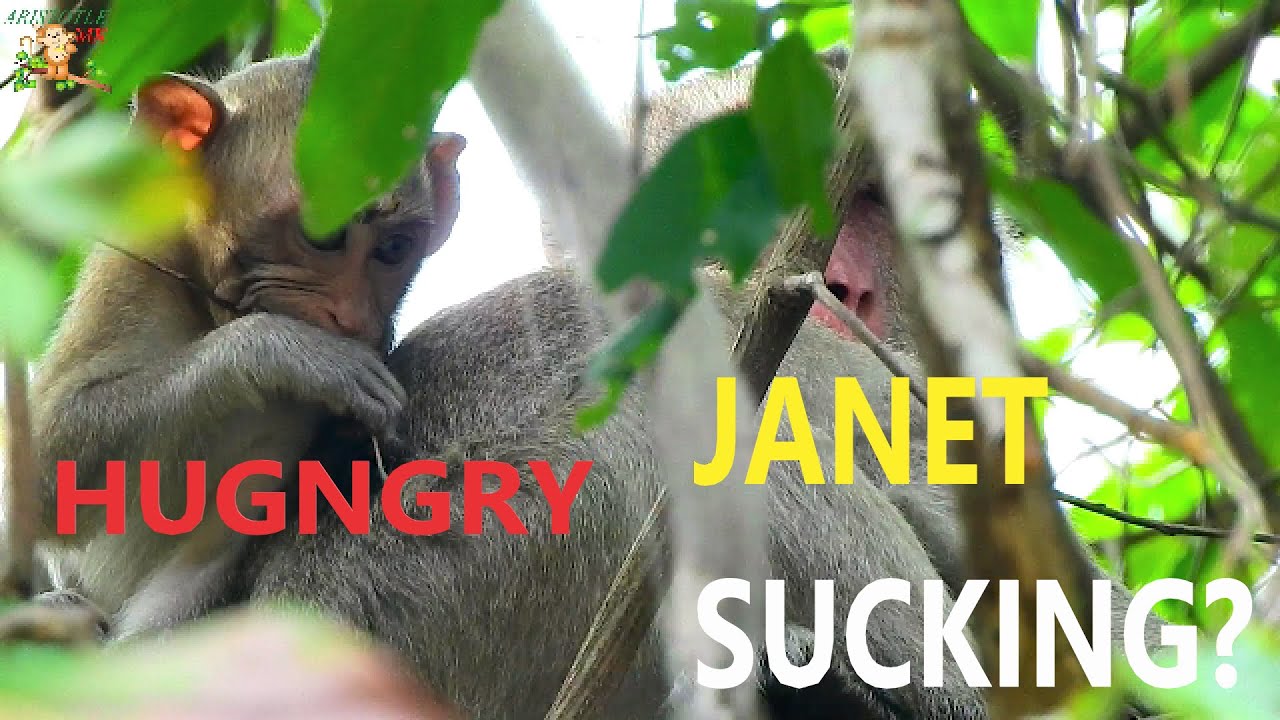 PITY BABY JANNA SUCKING FINGER DID FACE SO SAD COS JANET TRY TO GET MILK MOM JANE |