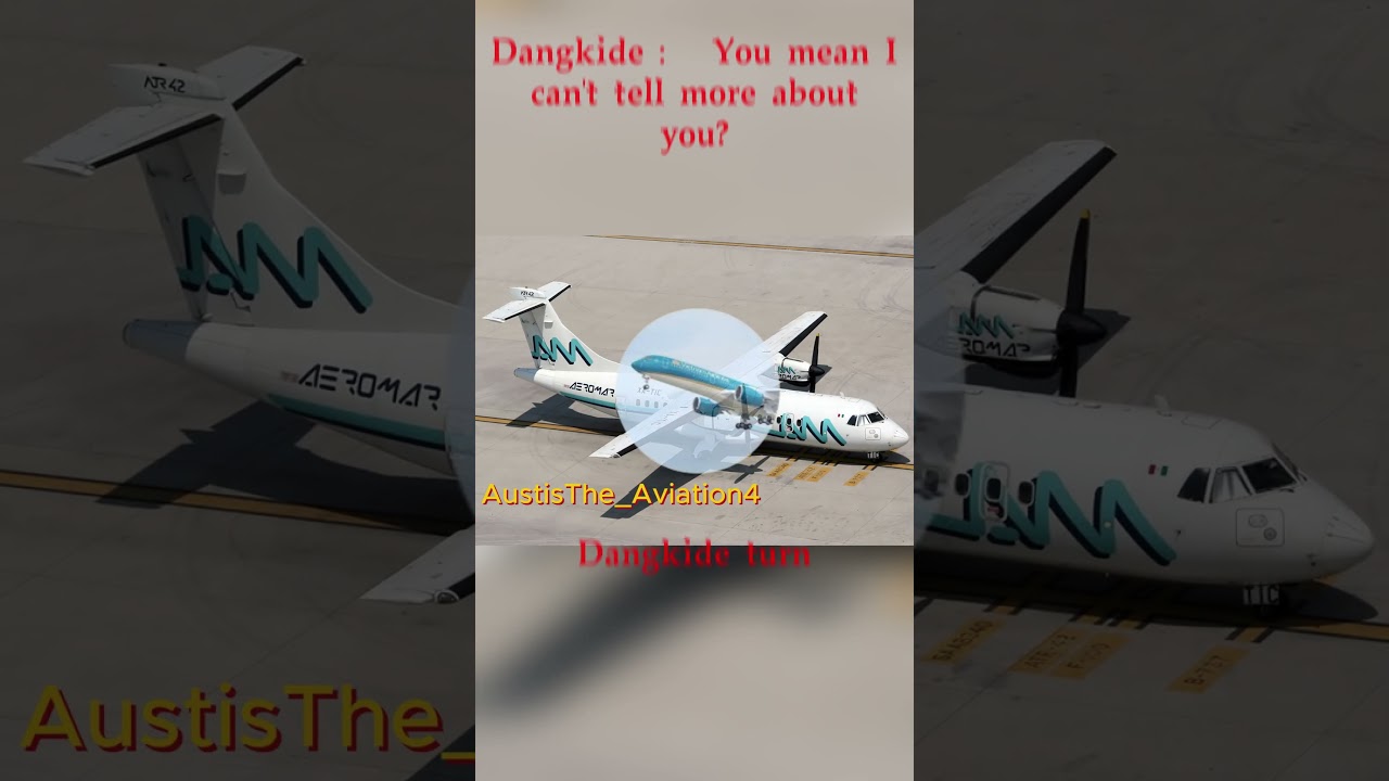 ATR 42 and ATR 72 disasters 