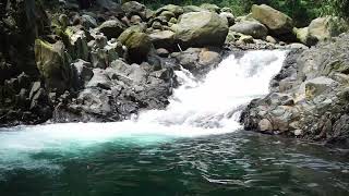4K 【PETUNGKRIYONO】 Nature’s Paradise: Beautiful Waterways & Relaxing Sounds
