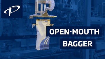 Open-mouth Bagger With Bottom-up Filler - BFH-1040 ( Formerly BFW-7000)