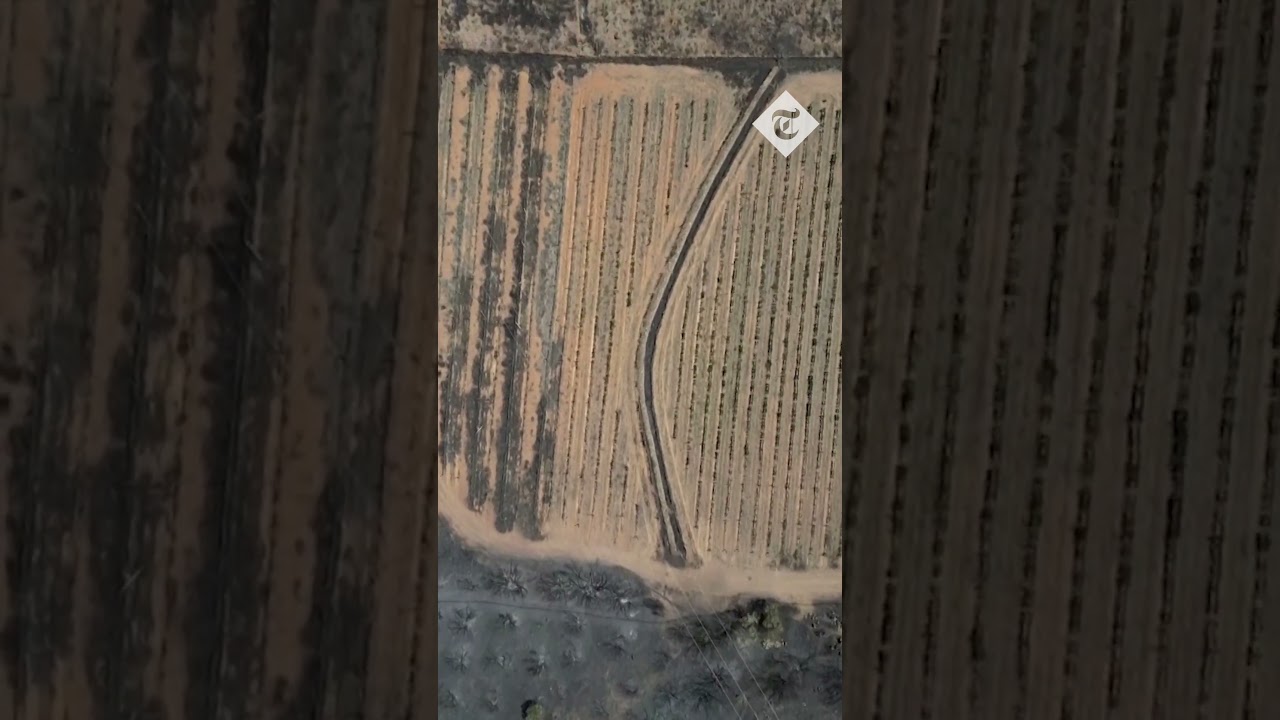 Wildfires aftermath: Homes surrounded by scorched land in Spain