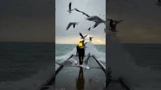 SONG IS \