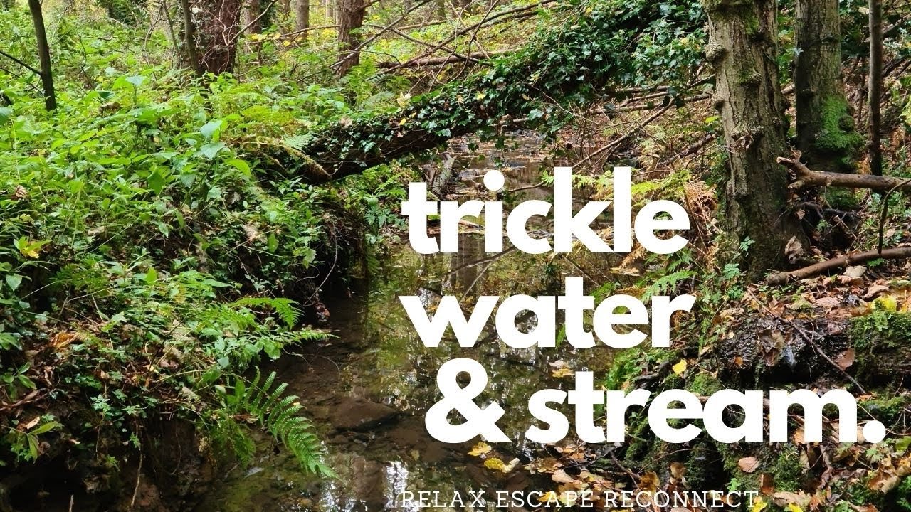 Relaxing nature sounds, Water trickle, anxiety, stress relief, stream, autumn 2020