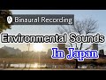 [Relaxing Binaural Ambient Sound] Everyday life in Japan | Shinobazu Pond in Ueno Park 上野恩賜公園/不忍池-定点