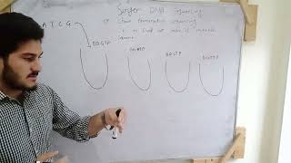 sanger sequancing in urdu by undefined learning explian in very simple way