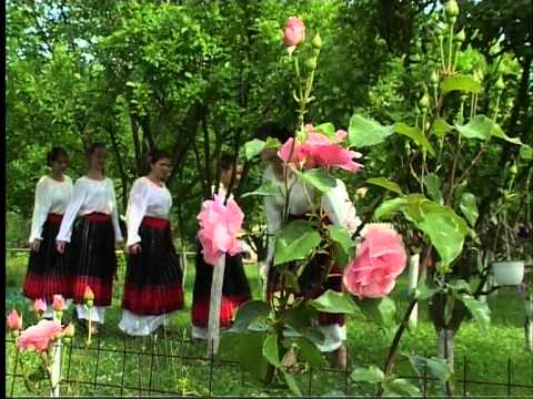 Ofelia -Florica Harangus -RECITAL - TVRM - ( partea  a-I-a )