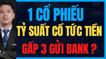 1 cổ phiếu có tỷ suất cổ tức tiền 15%, cao gấp 3 lần gửi ngân hàng, chứng khoán ngày mai