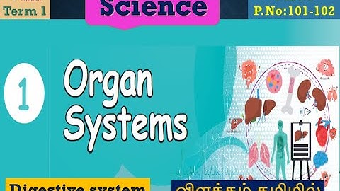 Organ Systems unit-1(Part-1) Digestive system|5th Std Science English medium Explained in tamil