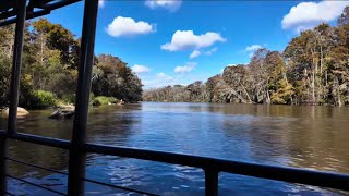 Dr. Wagner’s Honey Island Swamp Tour | Slidell, LA 