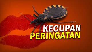 Kecupan Pertamamu Milikku - Kissing Bug #AlamSemenit