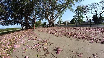 CAIRNS x ESPLANADE x LONGBOARDS