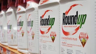The Monsanto Papers : Roundup & The Canadian Connection   Enquête