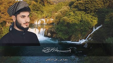 سورة ص _ علي التركماني - Surah Sad_ Ali Al-Turkmani