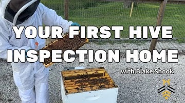 BEEKEEPING: Your First Inspection Home with Blake Shook