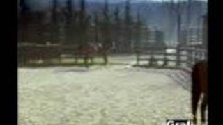 kocakafalar -binbirgece eşşek